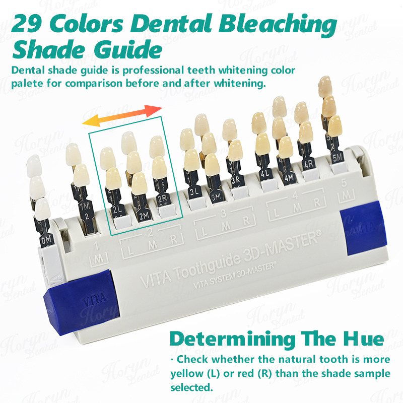 Vita 3D マスター歯科ラボ漂白シェードガイド 29 色 - Teeth Whitening Bleach のレビューと価格