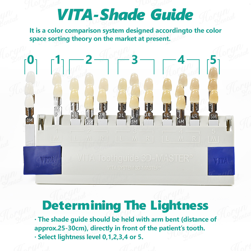 Vita 3D マスター歯科ラボ漂白シェードガイド 29 色 - Teeth Whitening Bleach のレビューと価格