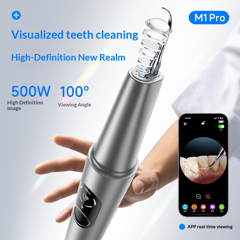 ホームフィッシュ 家庭用歯石除去器具 視覚技術による歯石や歯 - Teeth Whitening Machine Professional のレビューと価格